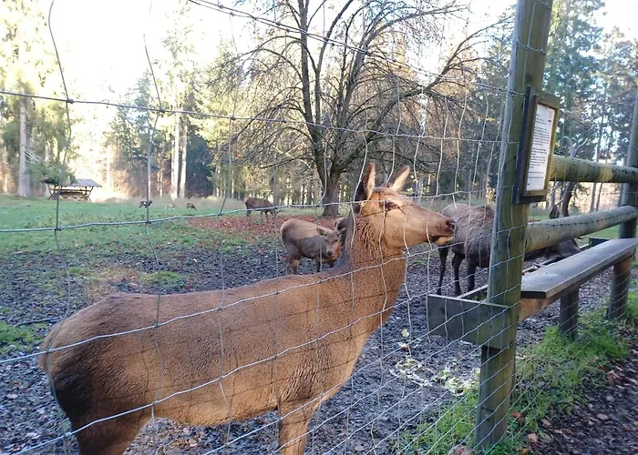 Schoenes Mit Grossem Garten Bei