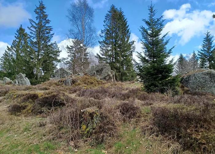 Schoenes Mit Grossem Garten Bei *