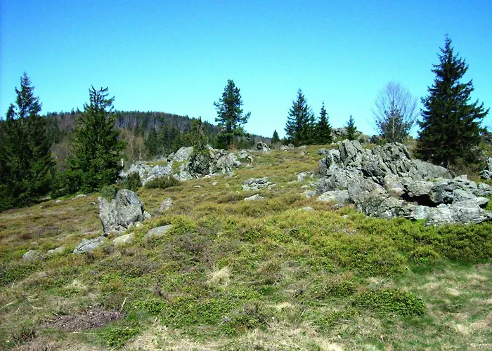 Hébergement de vacances Schoenes Mit Grossem Garten Bei Stadlern