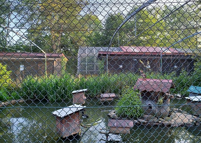 Schoenes Mit Grossem Garten Bei Vakantiehuis