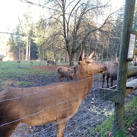 Schoenes Mit Grossem Garten Bei