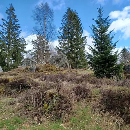 Schoenes Mit Grossem Garten Bei *