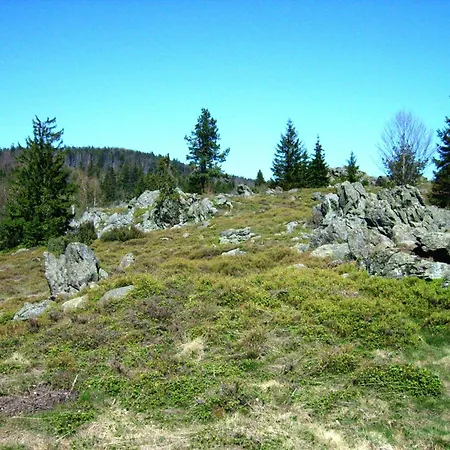 Дом отдыха Schoenes Mit Grossem Garten Bei Stadlern