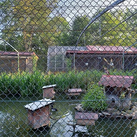 Schoenes Mit Grossem Garten Bei Casa vacanze